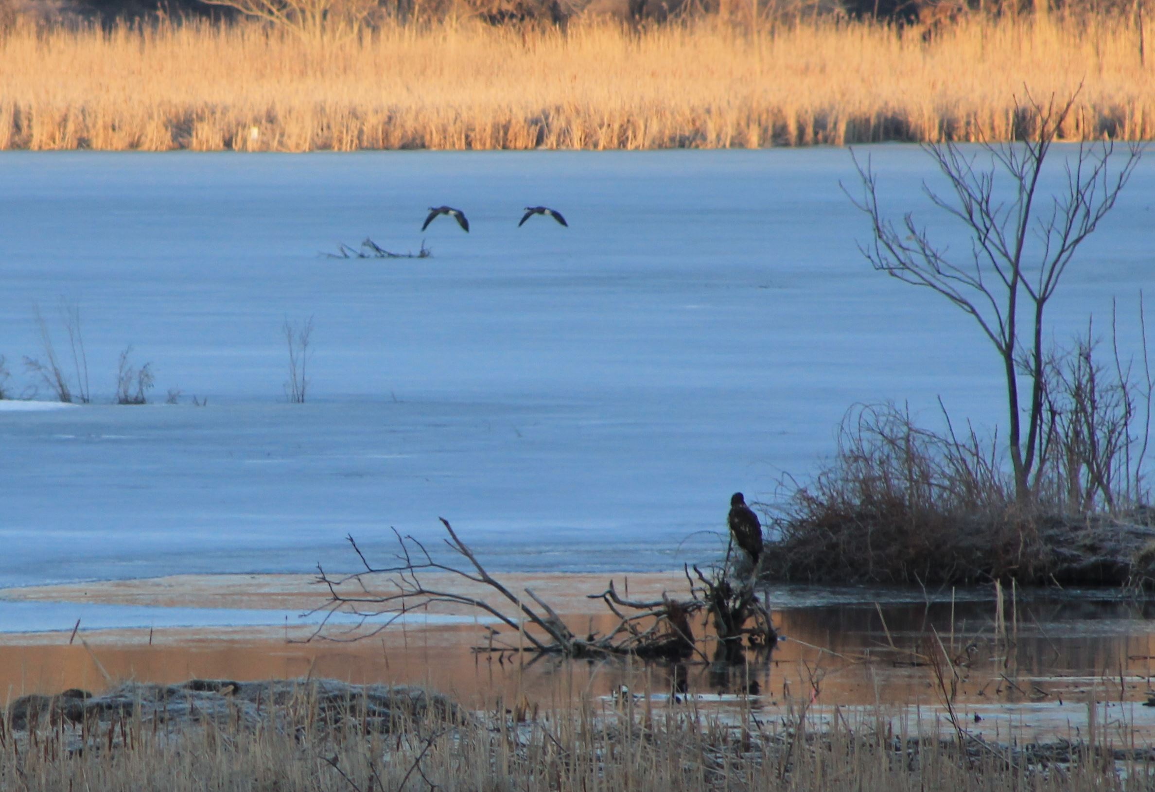 Taken by Karen Stegner